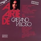 A Arte de Caetano Veloso by Caetano Veloso