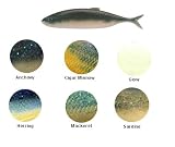 Gulp Swim Bait6 Cigar Minnow