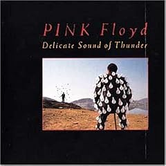 Pink Floyd: Delicate Sound of..