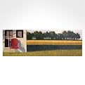 Red Lawn Rocker Canvas