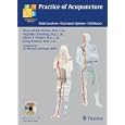 Practice of Acupuncture by  Hans-Ulrich Hecker, Angelika Steveling, Elmar T. Peuker, and Joerg Kastner
