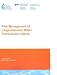 Book Risk Management of Large-Diameter Water Transmission Mains