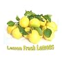 Lemons for Sale - to Buy - 37 Lemon Fresh Lemons- 10 Lbs. - Wax-free, Non-spray, Non-irradiated, Shipping Included in $21.34 Price - Best Price and Freshed Fruit Available - Fresh Picked Only to Fill Your Order - Delivered Priority Mail in 2-3 Days From Order - Home Delivery - All Naturally Grown Environmentally Friendly Lemons From Our Orchards At Hickory Hill Farm, California, U.s.a. Always Know Where Your Lemons Have Been.