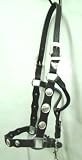DARK OIL Silver Concho Show Halter w/ Lead - HORSE