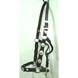 DARK OIL Silver Concho Show Halter w/ Lead - HORSE