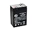 Dyna Ray S18210 6V 5Ah Emergency Light Battery - This is an AJC Brand Replacement