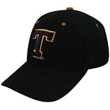Zephyr Texas Longhorns Black DH Fitted Hat