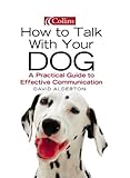 How to talk with your dog