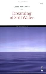 Dreaming of Still Water (Salt Modern Poets)