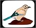 Mouse Pad with european, jay, jaybird, bird, animal Image