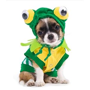 Frog Costume for Dogs