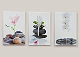 Produkt-Bild: 3-Set Wandbilder Orchidee auf Keilrahmen Bilder 60 cm
