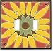 MEXICAN SUNFLOWER Decorative Light Switchplates, Outlet Covers, Rocker, GFCI Switch plates