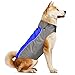 Vizpet Dog Jacket and Reflective Dog Coat Sport Vest, Warm and Comfortable Clothes - 6 for Small Medium Large Dogs (Blue-L)