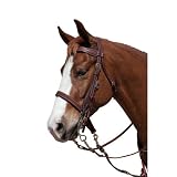 Dark Buckstitch Scalloped Headstall - Brown