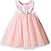 Little Me Toddler Girls' Mesh Dress