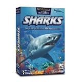 Sharks 2.0 3D Screensaver