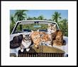 Florida Vacation by Drew Strouble