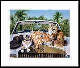 Florida Vacation by Drew Strouble