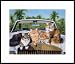 Florida Vacation by Drew Strouble