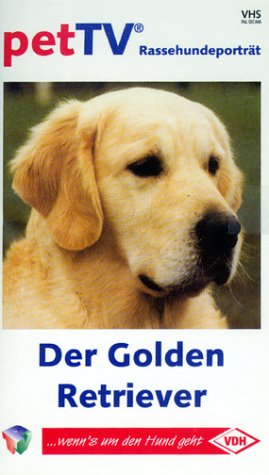 Golden Retriever - Rassehundeporträt