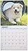 2016 Puppies 16 Month Wall Calendar