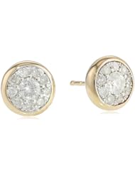 10k Yellow Gold 1/2 Cttw Diamond with Bezel Frame Stud Earrings