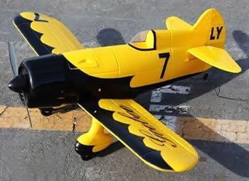 Brand New 4 Channel RC EP 26 Aerobatic Geebee Scale Remote Control Plane (Yellow) by Lan Yu