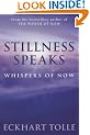 Stillness Speaks: Whispers of Now