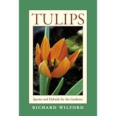 Tulips: Species and Hybrids for the Gardener