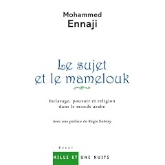 Le sujet et le mamelouk : Esclavage, pouvoir et religion dans le monde arabe