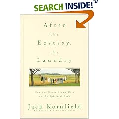 After the Ecstasy, the Laundry: How the Heart Grows Wise on the Spiritual Path
