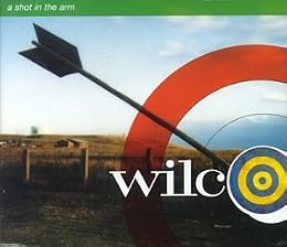 Wilco Foto 10