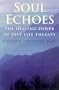Soul Echoes: The Healing Power