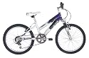 Raleigh KRAZE 20" Wheel 11" Frame Girls / Boys Bike