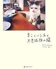 まこという名の不思議顔の猫