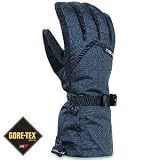 Dakine Titan Glove (Men's)