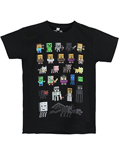 Official Minecraft Sprites Boy's Black T-Shirt (12-13 Years)