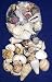 Sea Shells Mixed Beach Seashells W/net Bag 1lb 1/2 " to 2" Shells 30+ Seashells 41MEjXQBqRL. SL75 Heres Some Great Ideas for Beach Theme Wedding Favors