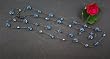 Swarovski Crystal Necklace, 45" - Aquamarine (Audrey)