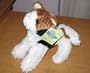 KooKeys Calico Cat
