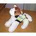 KooKeys Calico Cat