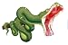 Emerald Tree Boa Snake (corallus Canina) - 24"W x 16"H - Peel and Stick Wall Decal by Wallmonkeys