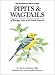 Pipits and Wagtails of Europe, Asia and North America: Identification and Systematics (Helm Identification Guides)