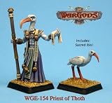 Wargods Of Aegyptus: Priest of Thoth w/Sacred IbisIMAGE