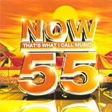 Review Various Artists  / Now That's What I Call Music Vol.55 [CASSETTE]