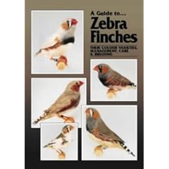 A Guide to Zebra Finches