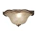 Search : Kenroy Home 91148GSS Laurel 2-Light Flush Mount, Golden Sunset