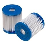 Intex Filter Cartridge