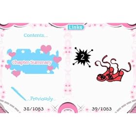 Nintendo DS Flips Console
